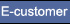 E-Customer